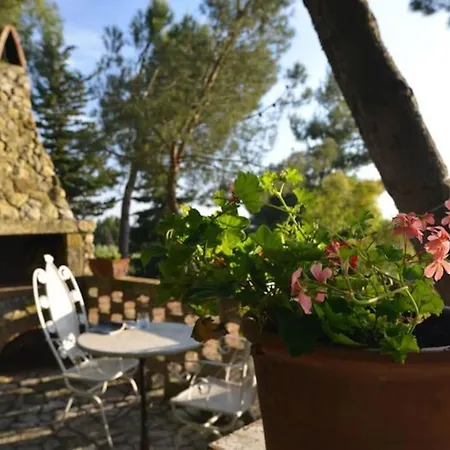 La Terrazzina, Per Due Con Vista Mare Apartment *