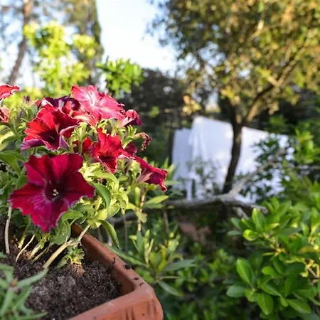 La Terrazzina, Per Due Con Vista Mare *