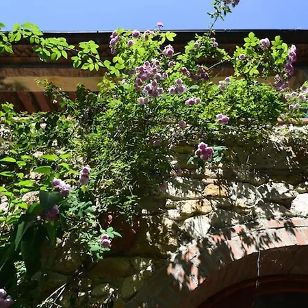 La Terrazzina, Per Due Con Vista Mare Apartment Rosignano Marittimo